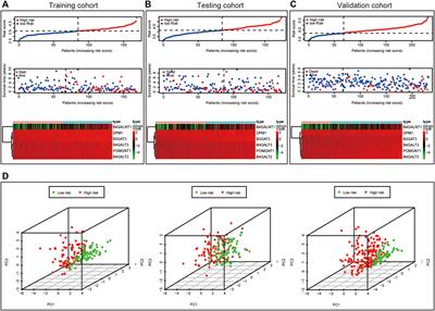 Identification of a Novel Glycosyltransferase Prognostic Signature in Hepatocellular Carcinoma Based on LASSO Algorithm